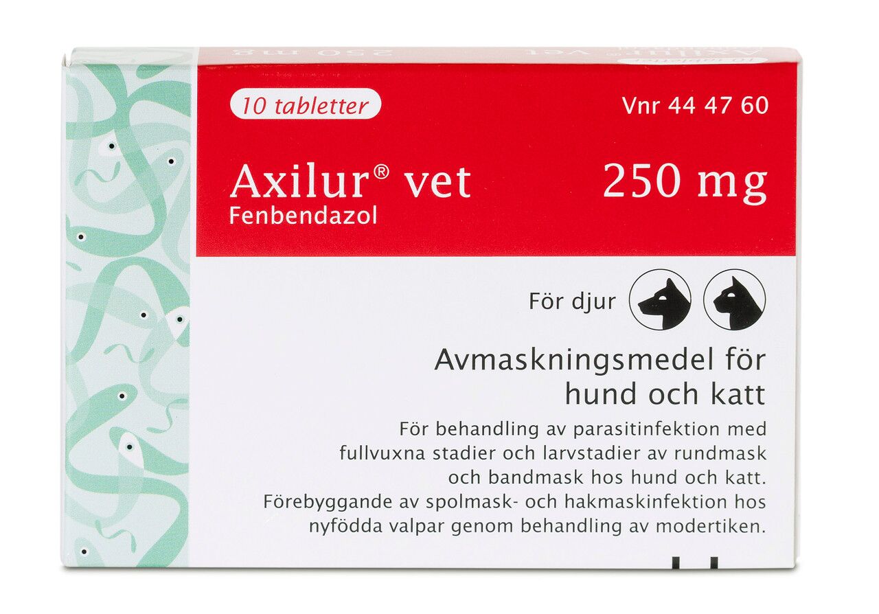 Avmaskningstabletter för hund | 250 mg, receptfritt, effektiv mot bandmask och rundmask | Axilur®