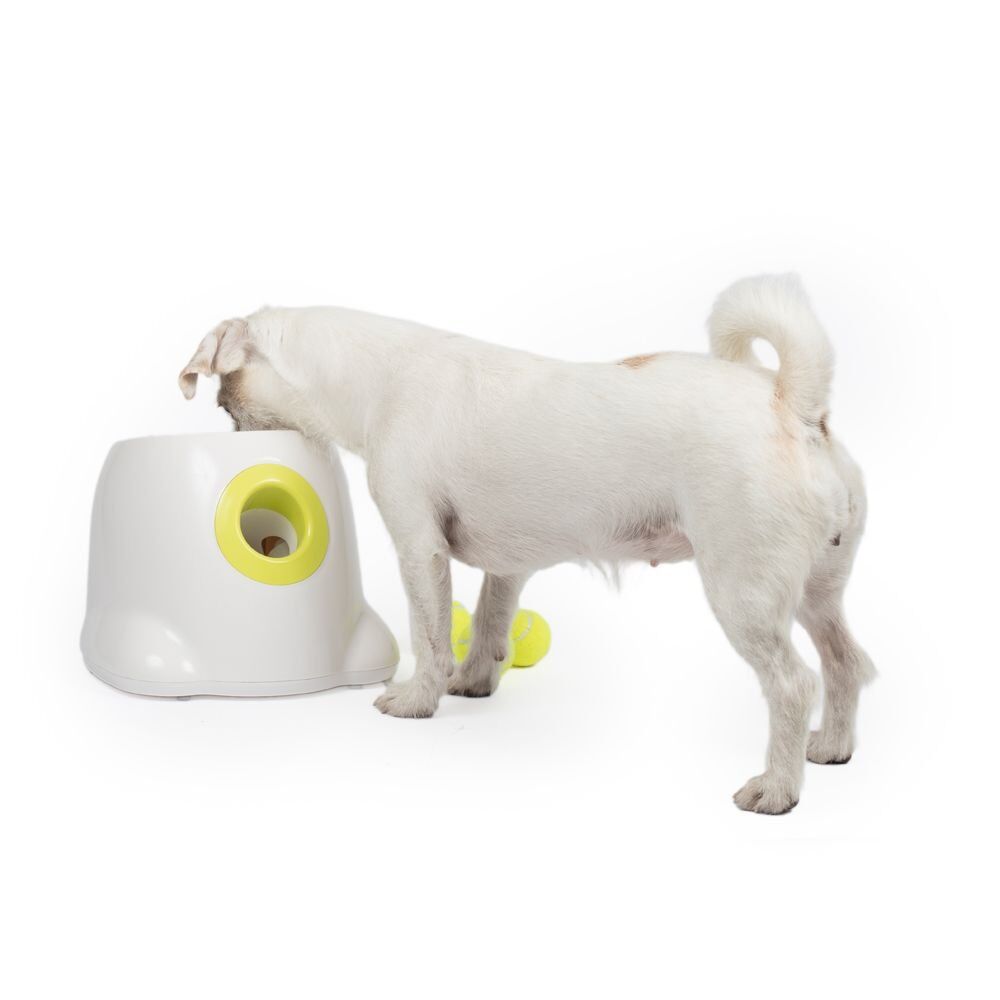 Hundbollkastare Mini | Aktiveringsleksak, 3 avstånd, 3 bollar | All For Paws