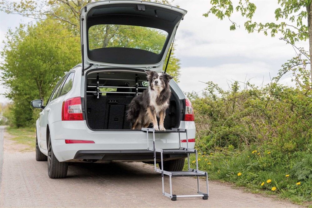 Hundtrappa 3-stegs till bil | Gummerad yta, justerbar längd, vikbar